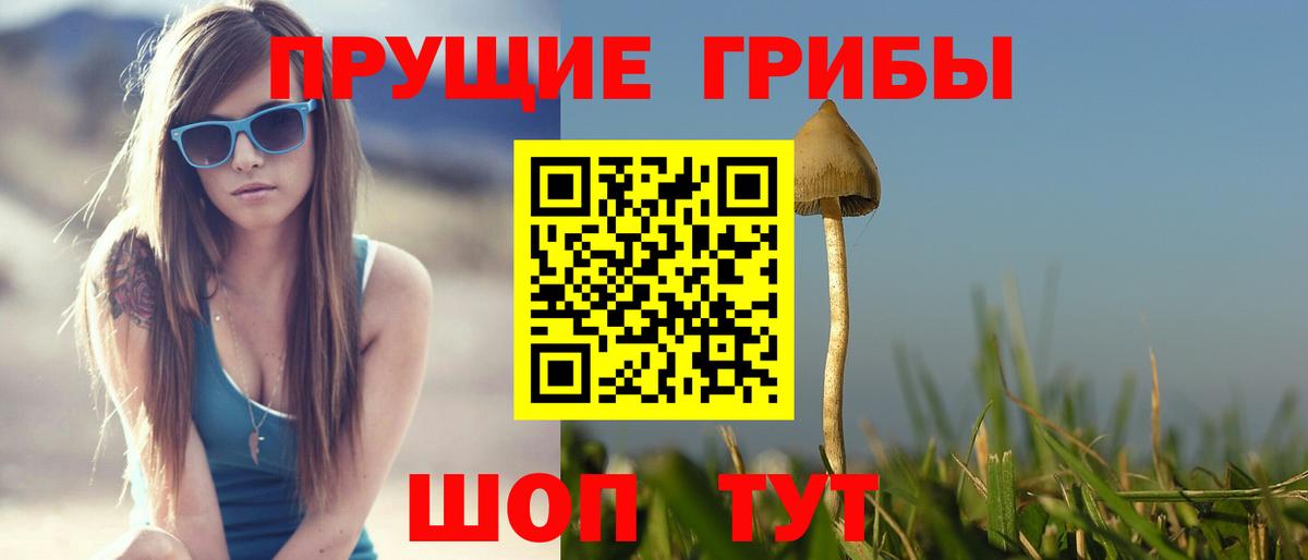 Галлюциногенные грибы GOLDEN TEACHER Топки